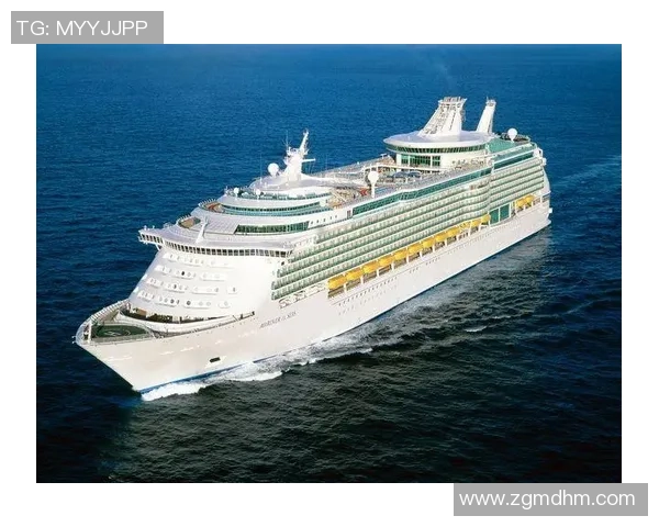 张帆：在时代浪潮中探索创新与梦想的航行者